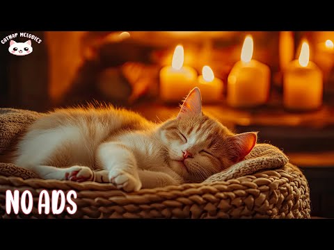 Anti-Anxiety Music for Cats 💖 Relaxing Sounds for Deep Sleep, Healing Insomnia & Stress-Free Pets
