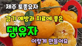 제주토종유자 댕유자 감기예방과 치료에 좋은 댕유자차 이렇게 만들어요 댕유자차만드는방법