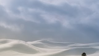 You Have A Choice - Official (MUST WATCH to the end, 2 minutes)