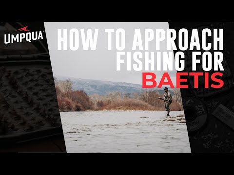How to approach fishing the Baetis Hatch