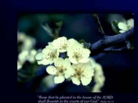 KUBERSYUKUR PADAMU TUHAN (PSALLO 149)