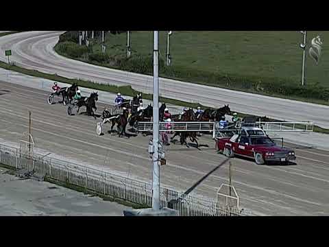 Aversa trotto 9 Marzo 2022 - 1° Corsa