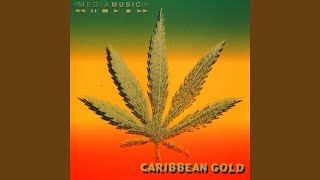 Mark Cherrie & Andrew Dewar - Level Vibes video