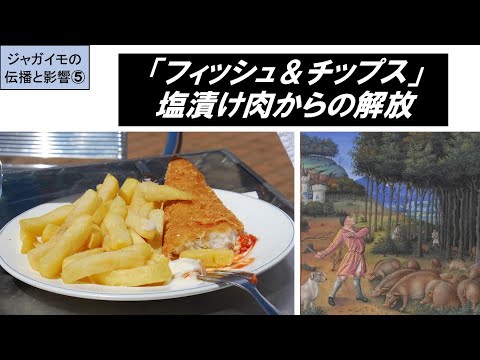 歴史文化学科 「『新大陸発見』と食文化の変化」第５回　フィッシュ＆チップス　塩漬け肉からの解放