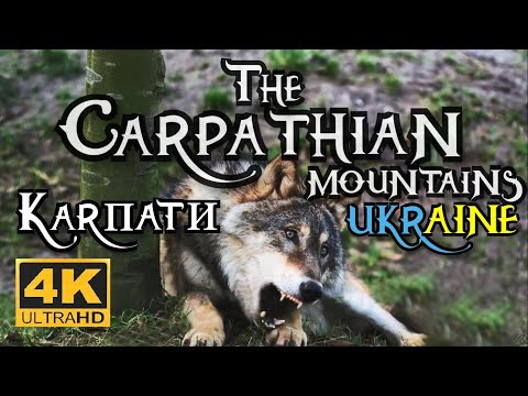 The Carpathian Mountains 4k Ukraine