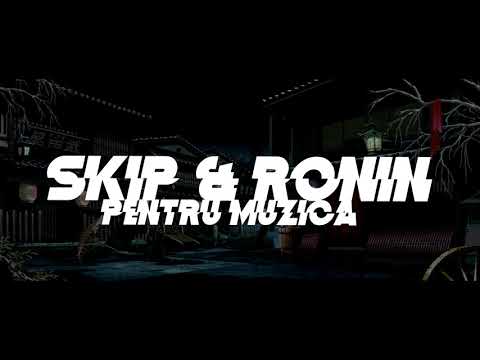 Skip & Ronin - Pentru muzica