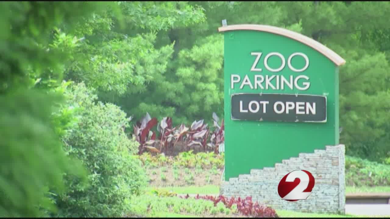 Cincinnati Zoo director defends killing gorilla to save boy