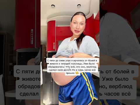 Верблюд не помогает 🤣. #юля