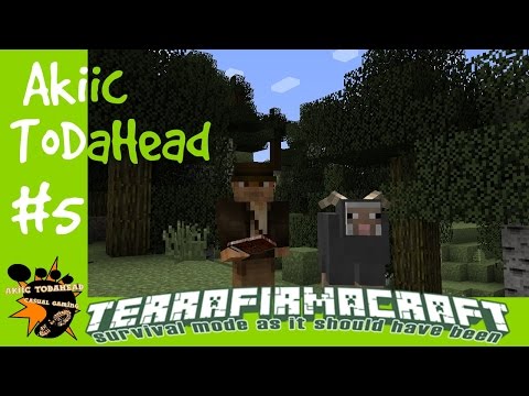 TerraFirmaCraft Reloaded With Akiic ToDaHead E5-  New Mods and New Look