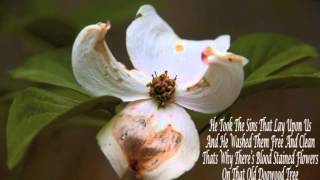 Jason Campbell- Blood Stained Flowers