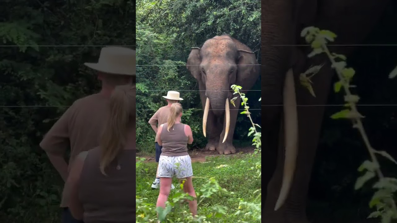 YouTube Short thumbnail