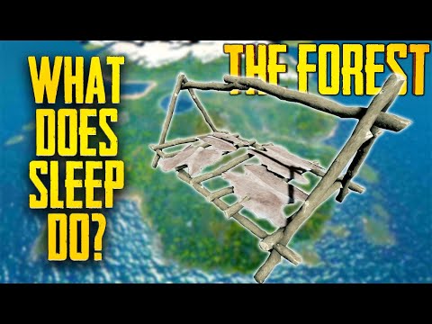 download lagu mp3 mp4 How To Sleep In The Forest, download mp3 How To Sleep In The Forest free download, download mp3 How To Sleep In The Forest