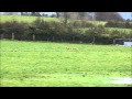 Coursing Cashel Dts 2012 CRACKING JET