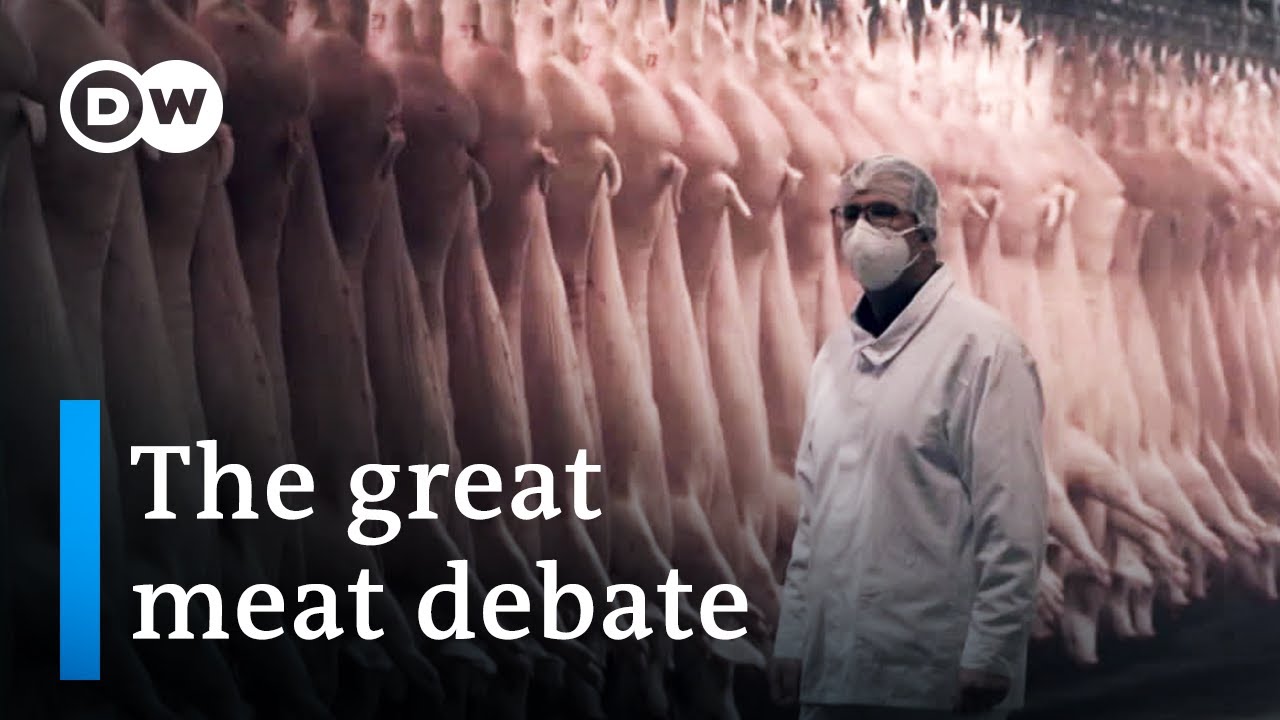 Factory Farming, Animal Welfare and the Future of Modern Agriculture