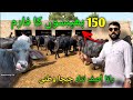 Pure Ravi Da Shaoq Rana Nisar Khan Rana Dairy And Cattle Farm