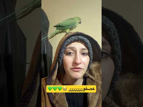 لقينا عصفور دُره 🥹🦜
