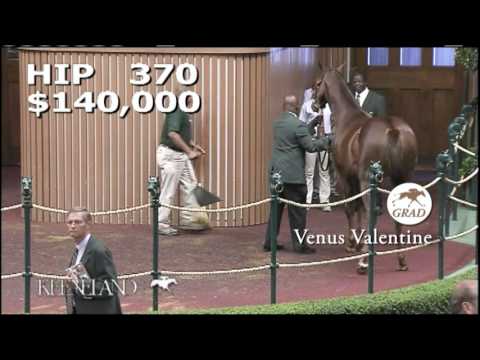 VENUS VALENTINE as a Keeneland September Yearling