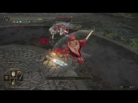 Elden Ring 1.04 - Coded Sword vs Moonveil Katana