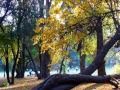 TONADA DE OTOÑO Mercedes Sosa, Pocho Sosa, Oscar Puebla (guitarra).wmv