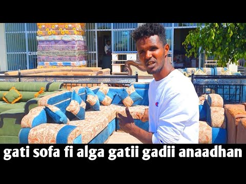 Gatii Sofaa Fi Alga Kumaa 20 irra ka'ee  Ammumaa Bitaadha