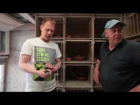 Nationale Winnaars ZLU Barcelona  2016