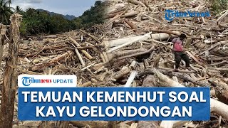 2 Alat Berat Disita Bareskrim Polri, Kemenhut Temukan Asal Usul Kayu Gelondongan di Batangtoru