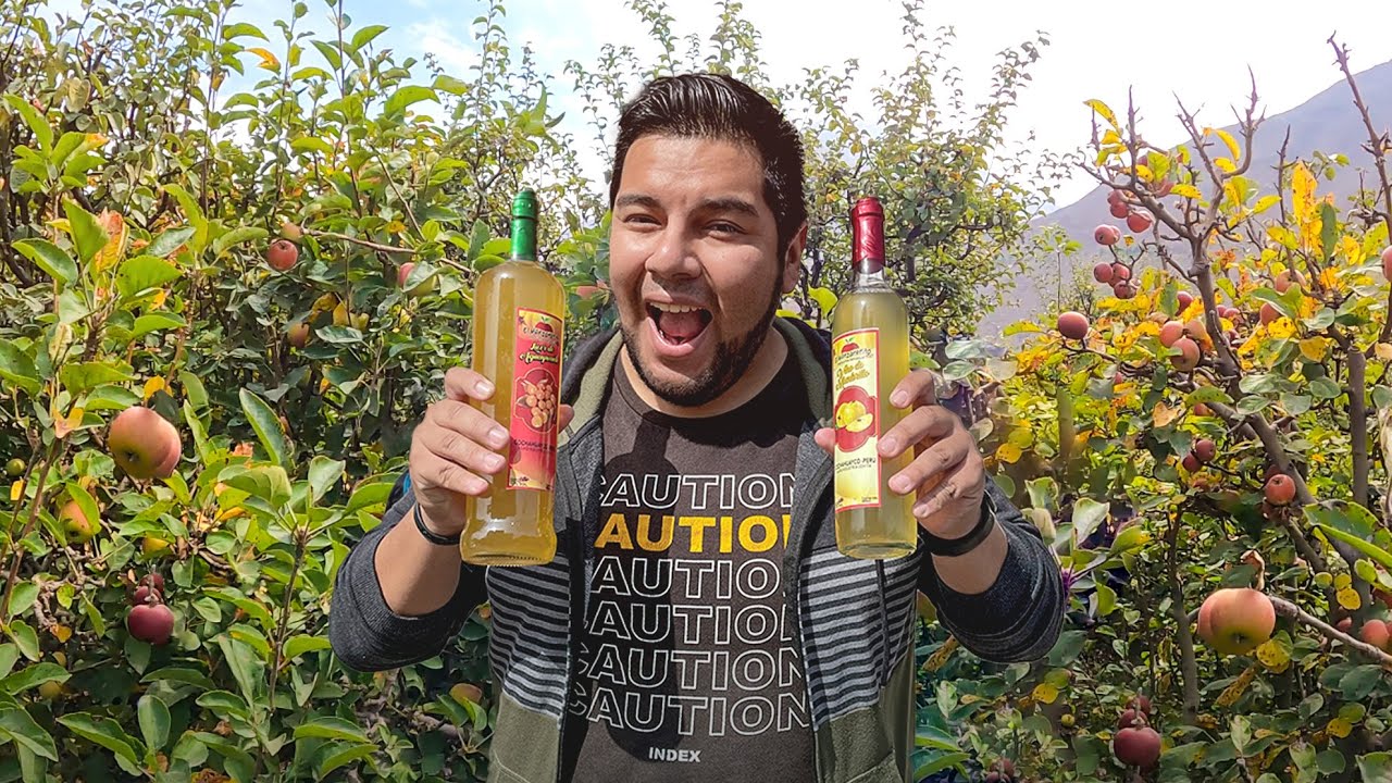 Watch Probé el VINO CON MAS ALCOHOL de Lima 🍷| @guiadebolsilloo Now Probé el VINO CON MAS ALCOHOL de Lima 🍷| @guiadebolsilloo