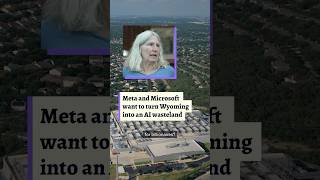 Meta data center contaminated Wyoming town's wastewater system with rare bacteria; senator sold land to Microsoft weeks later