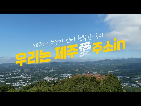 어디 살고in❓제주愛주소in❗