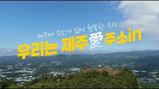 어디 살고in❓제주愛주소in❗