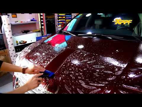Profession Paint Protection Film Installation Show