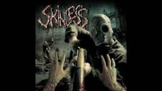 execution of reason-skinless