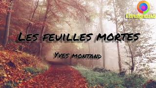 Yves montand- les feuilles mortes (paroles-lyrics)