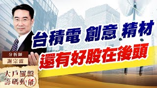 台積電 創意 精材 還有好股在後頭