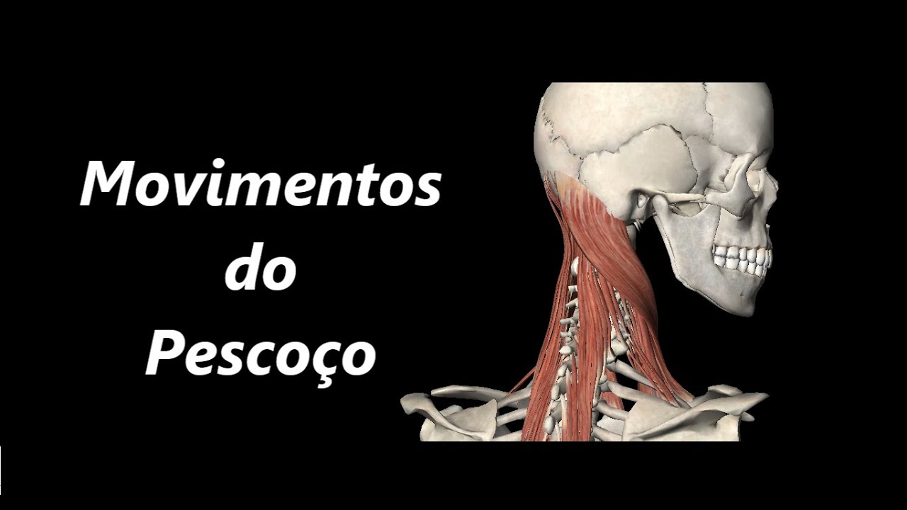 Movimentos do Pescoço em 3D