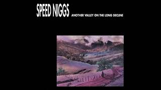 SPEED NIGGS - Another Valley On The Long Decline [Full Album]