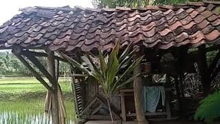 Download lagu Pupujian lagu sunda Cover lagu Anak adam mp3