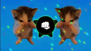 Download lagu DJ KICAU MANIA SLOW VIRAL FULL SONG VIRAL TIKTOK TERBARU 2026 YANG KALIAN CARI!!! mp3 Download lagu DJ KICAU MANIA SLOW VIRAL FULL SONG VIRAL TIKTOK TERBARU 2026 YANG KALIAN CARI!!! mp3