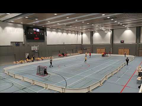 P11 Suonenjoki 19.12. 13.00 VarTa - Welhot Flames