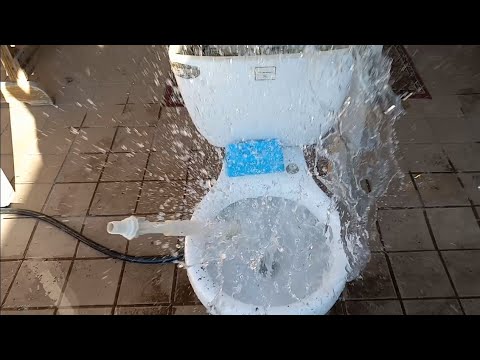 2001 Capizzi Toilet Punishment Day!