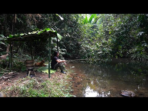 Bamboo Survival Shelter, Stream Fishing, Catch and Cook: Survival Alone | EP.242