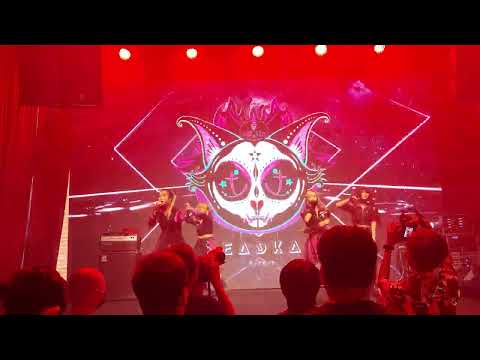 Deadkat @ Asia Idol Show Stage 2 - Mr.Fox Live House【4K 60FPS】