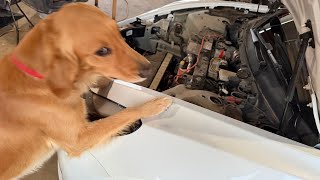 2023 Tesla model 3 ambient Temperature sensor  repair