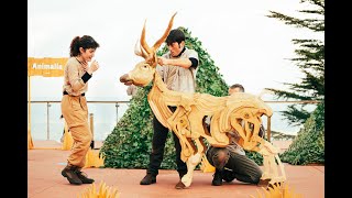 Teaser Animalia,Inc - Sàndal Produccions