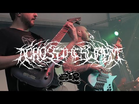 [RDR] ACROSS THE SWARM - 21 GIUGNO 2024 (PONTELUNGO SUMMER FESTIVAL)