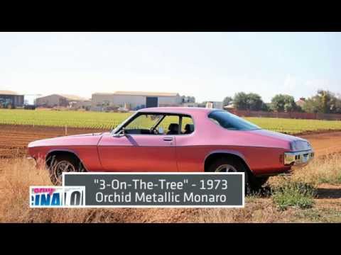 Thumbnail for Survivor Car Australia - Collectors' Special Edition by Car