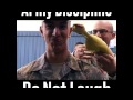 Can You Beat The Army Discipline Test