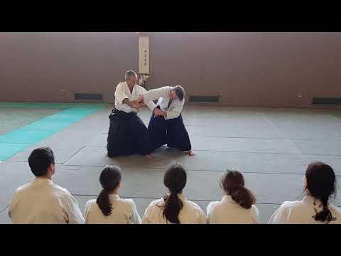 Traditional Aikido Europe - TAI NO HENKO OF USHIROWAZA - Lewis Bernaldo de Quiros