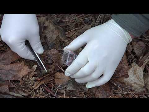 Vermisst in Vorarlberg - Clip 1 Spurensicherung