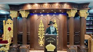 הרב מאיר דוד שמואלי - החודש הזה לכם
